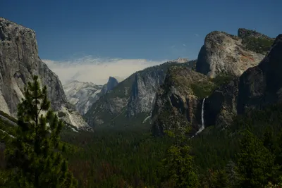 DSC_2347 (Large).JPG